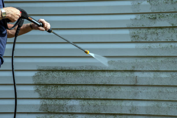 Best Concrete Pressure Washing  in Honey Grove, TX