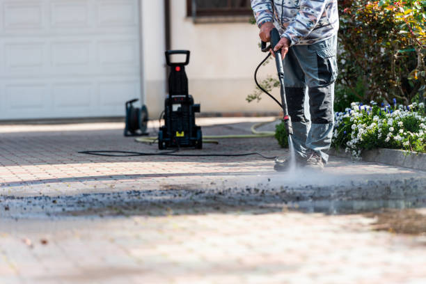 Best Power Washing Near Me  in Honey Grove, TX
