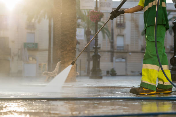 Best Roof Pressure Washing  in Honey Grove, TX
