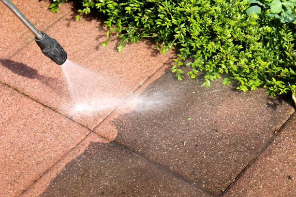 Professional Pressure Washing in Honey Grove, TX