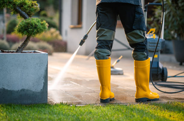 Best Fence Pressure Washing  in Honey Grove, TX